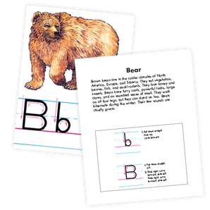 Animal Alphabet Cards Manuscript