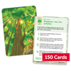 Mindscapes: Becoming Our Best Selves © 2024 Grades K–2 Activity Card Pack Spanish